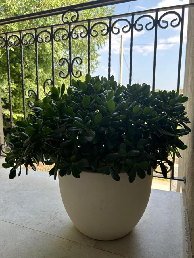 Sunrise Apartment Kotor Dış mekan fotoğraf