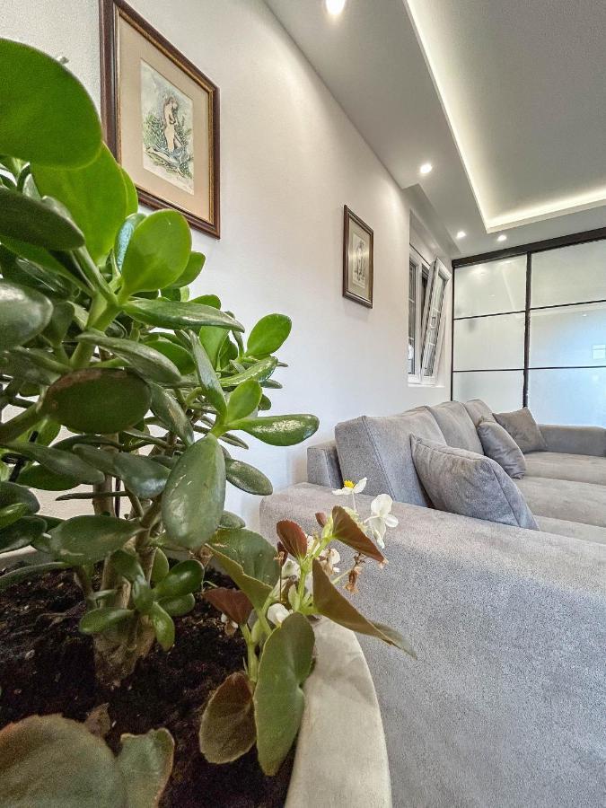Sunrise Apartment Kotor Dış mekan fotoğraf