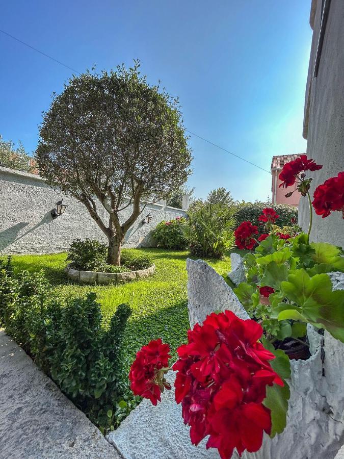 Sunrise Apartment Kotor Dış mekan fotoğraf